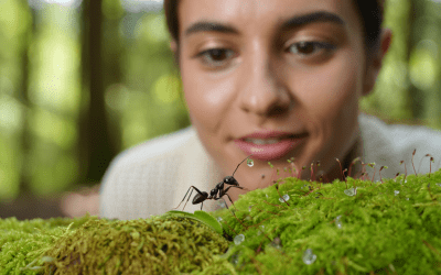 Comment j&rsquo;ai réussi à retrouver l&rsquo;émerveillement quotidien en observant une fourmi