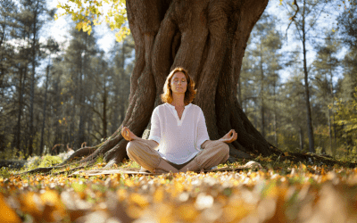 Comment j&rsquo;ai réussi à retrouver mon équilibre intérieur grâce à la technique de l&rsquo;arbre enraciné