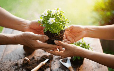 Comment transformer vos regrets en cadeaux pour les autres